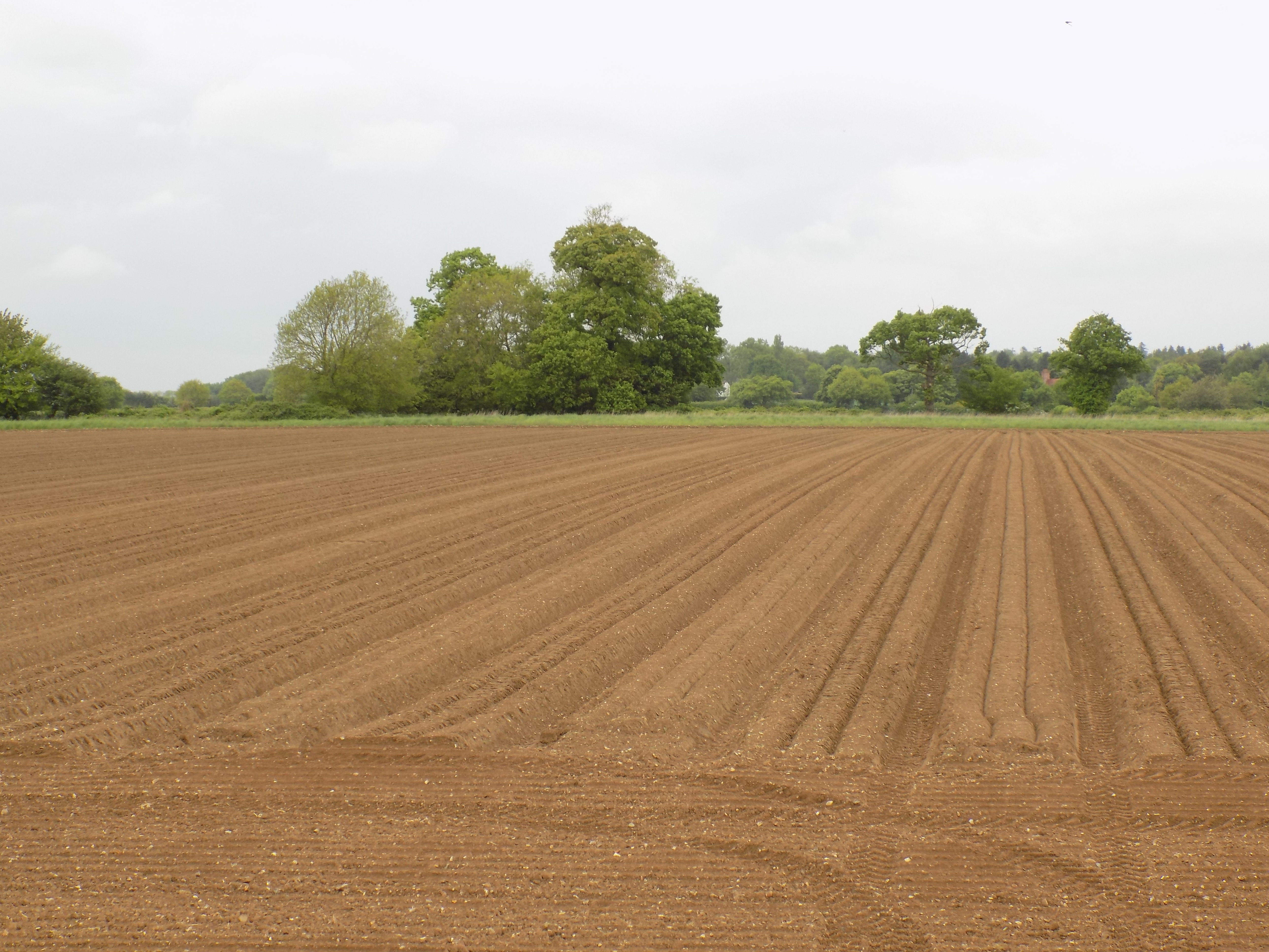 HindolCrashSiteMay2016_1