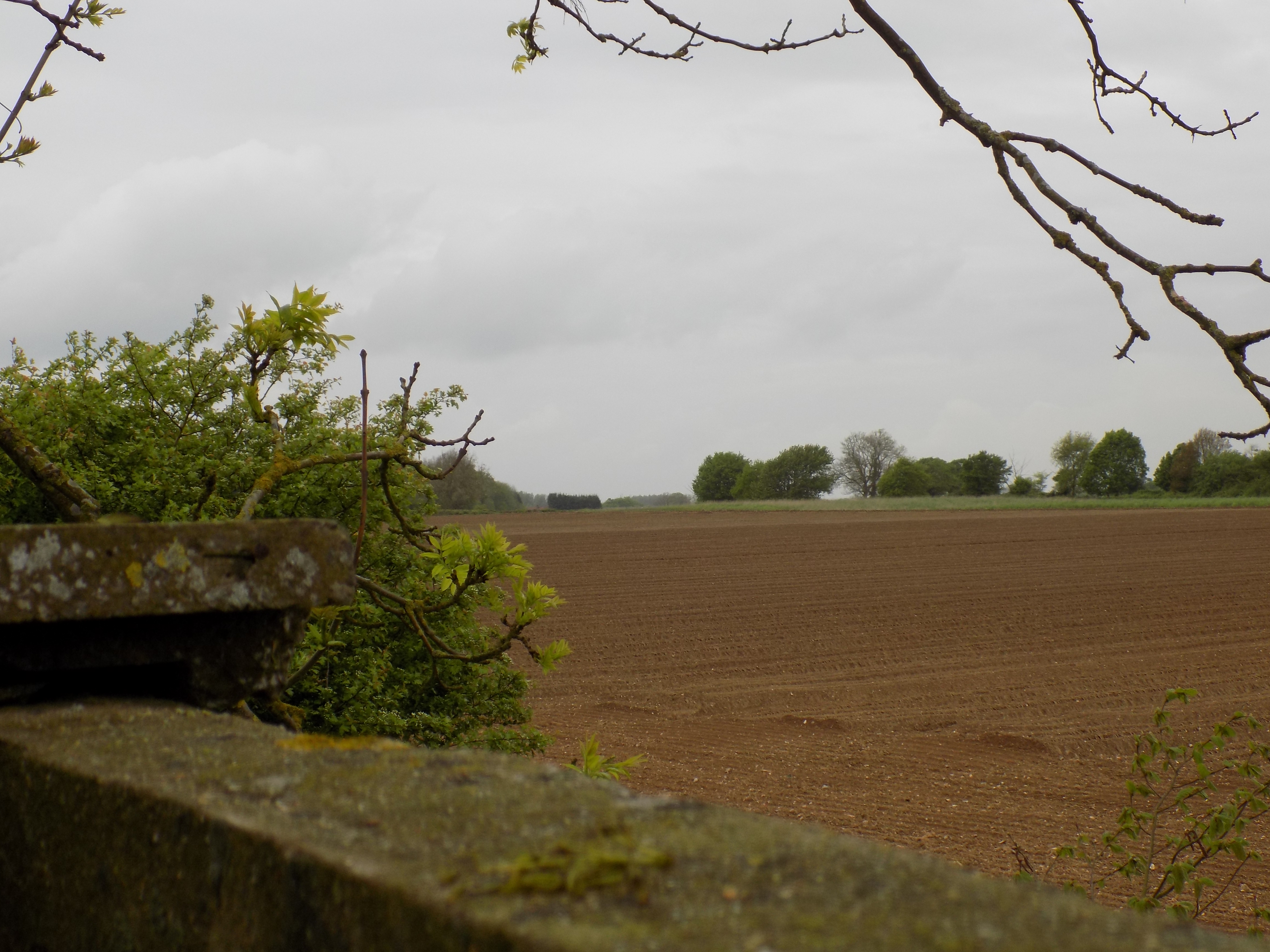 HindolCrashSiteMay2016_2