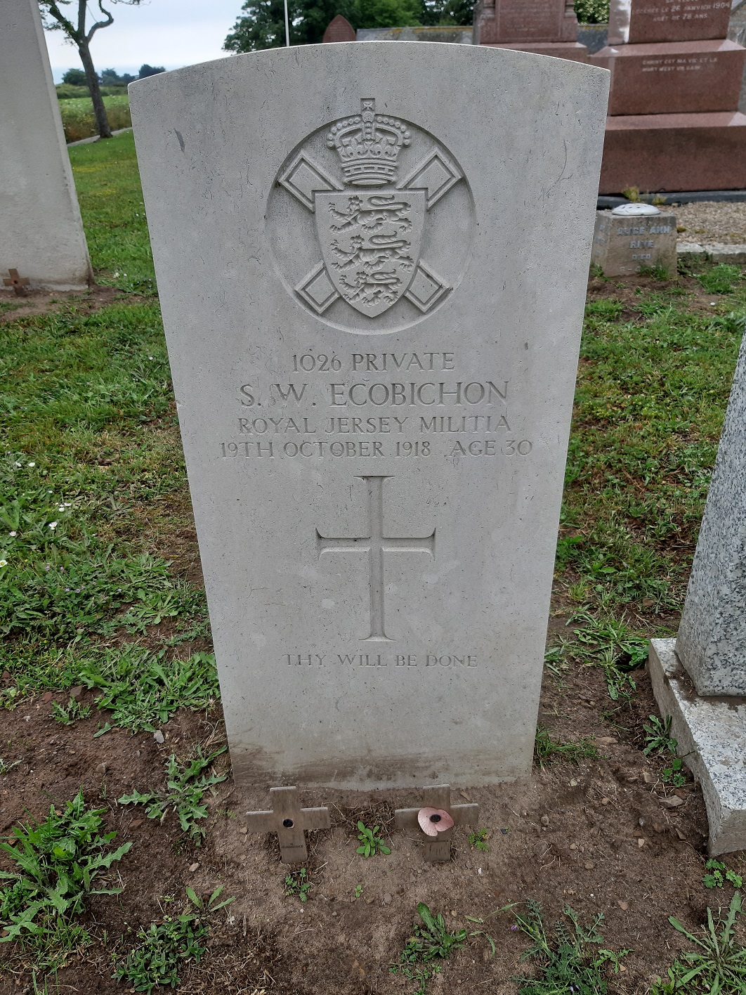 S_W_Ecobichon_Jersey