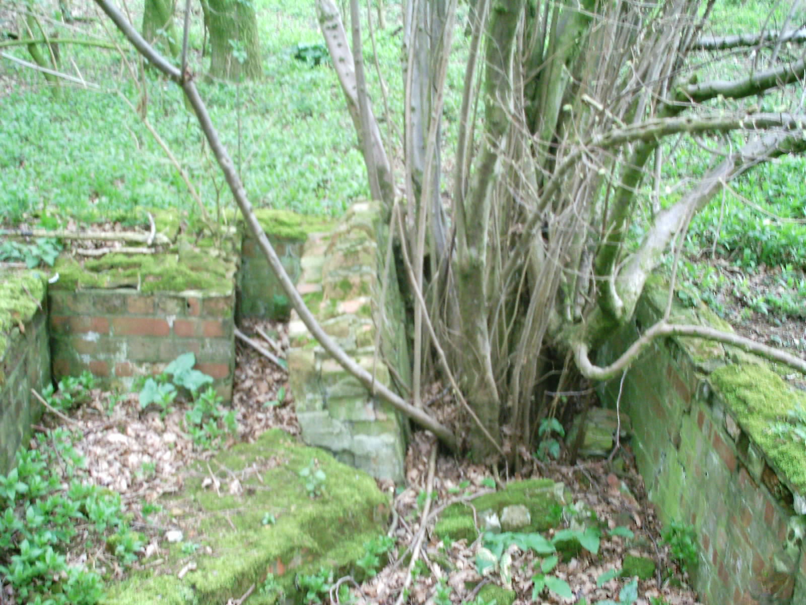 Swannington(1)