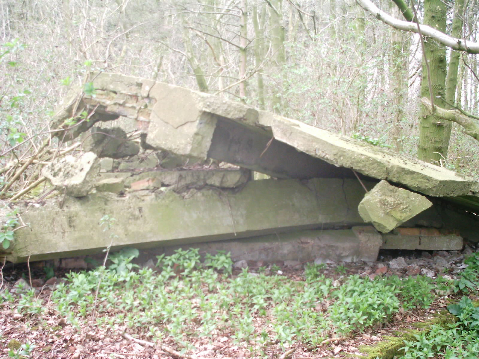 Swannington(2)