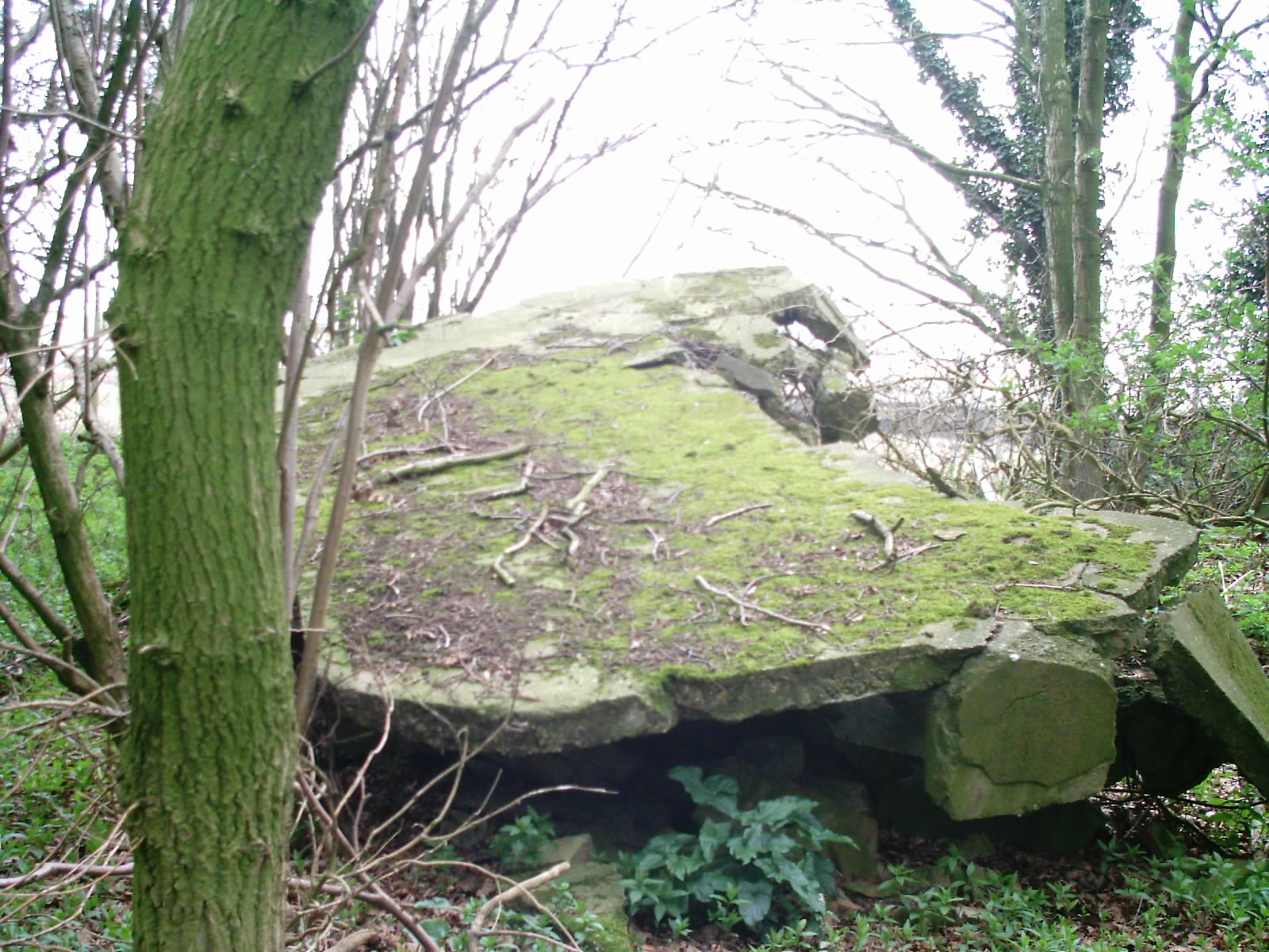 Swannington(3)