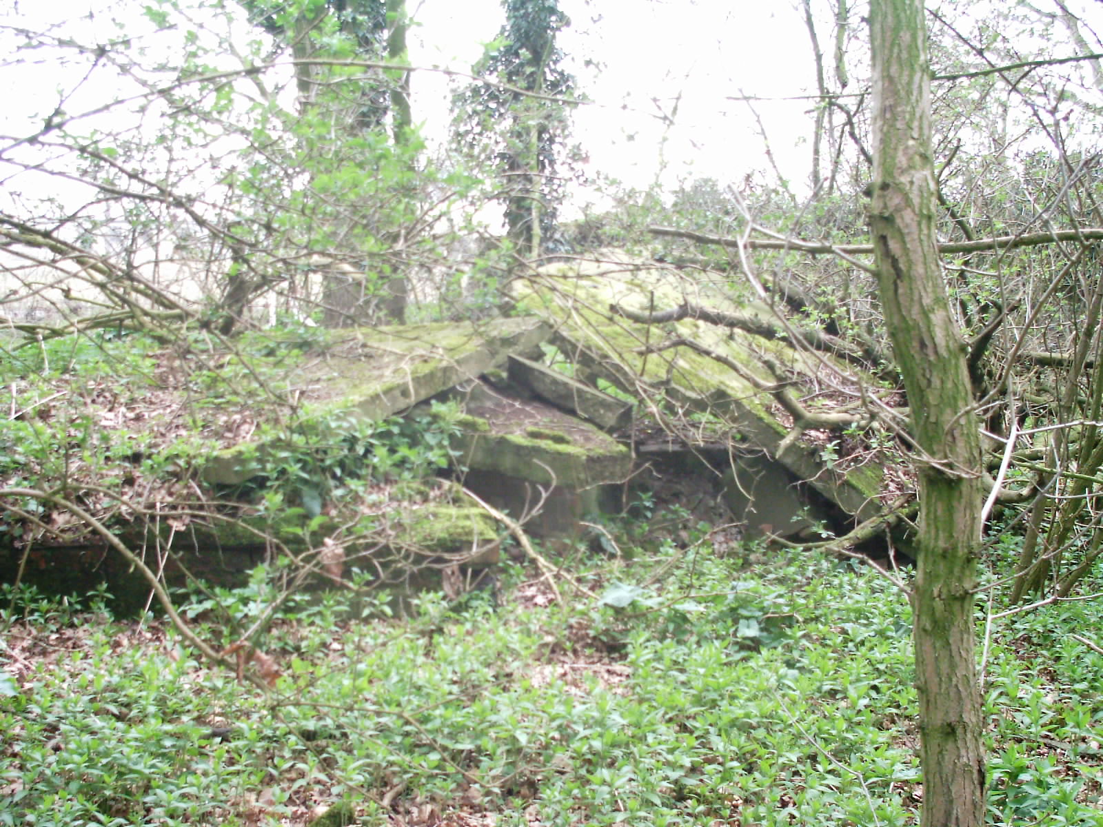 Swannington(4)
