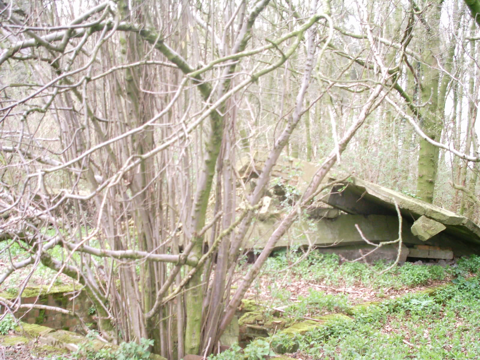 Swannington(5)