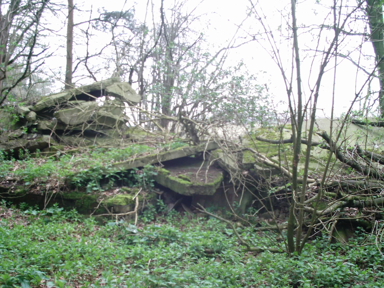 Swannington(9)
